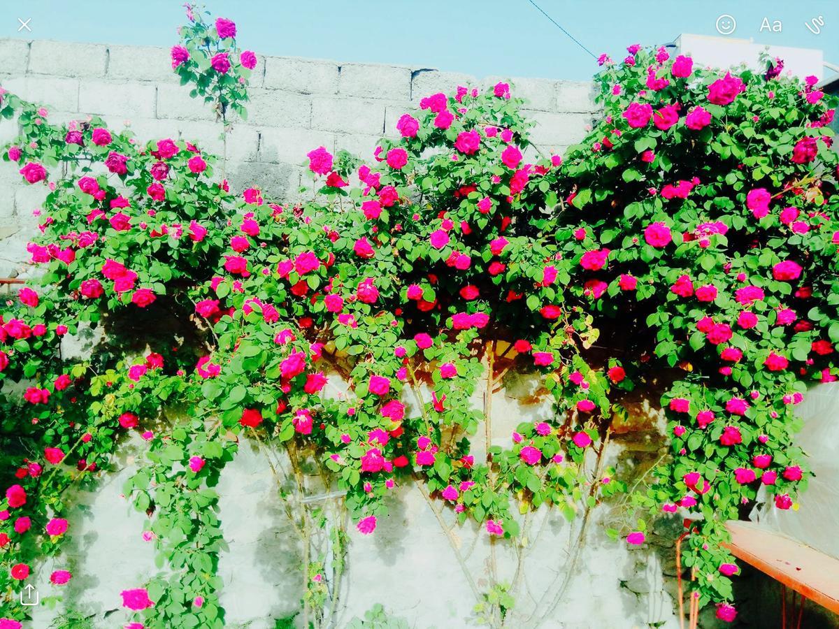 House On Ashiq Cuma Street 8 Bed & Breakfast Şǝki Exterior foto