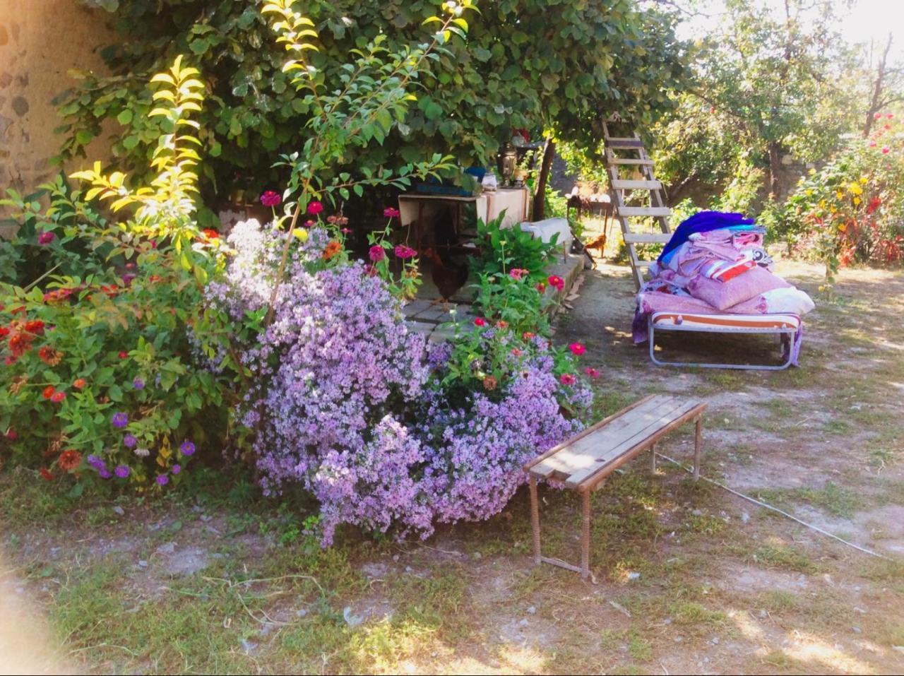 House On Ashiq Cuma Street 8 Bed & Breakfast Şǝki Exterior foto